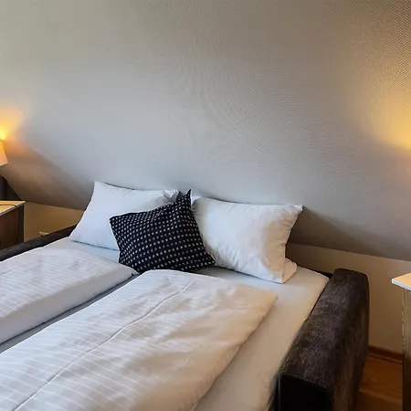 Friesenhaus Waastwinji Nebel